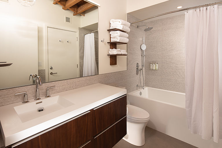 Falcon Portfolio 0002 MomentumElevationLoft Bathroom